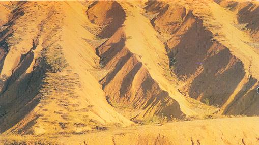 V ?ekilli oyuntular.